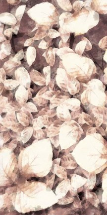 Framed Blush Shaded Leaves VI Print