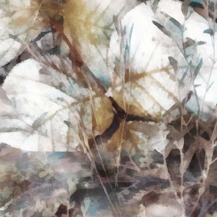 Framed Neutral Summer Leaves II Print