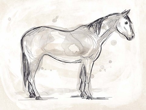 Framed Vintage Equine Sketch II Print