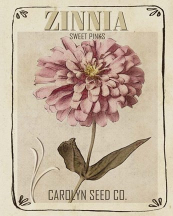Framed Vintage Seed Packets II Print