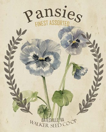 Framed Vintage Seed Packets III Print