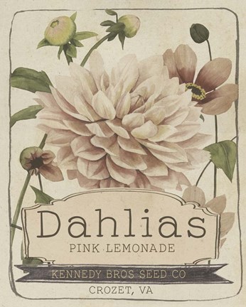 Framed Vintage Seed Packets IV Print