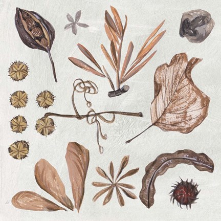 Framed Small Things VI Print