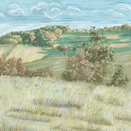 Framed Hill Lines VI Print