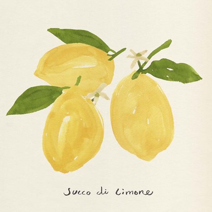 Framed Citrus Trattare I Print