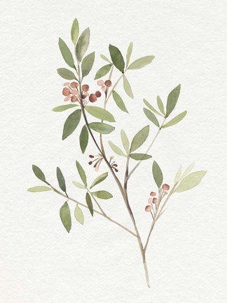 Framed Single Sprig IV Print