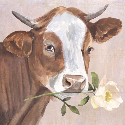 Framed Peony Cow II Print