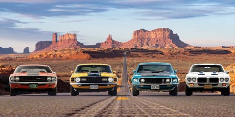 Framed American Bullets Print