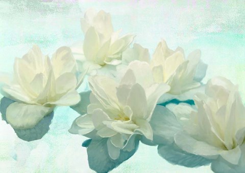 Framed Nympheas Print