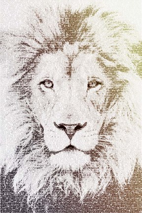 Framed Lion Print