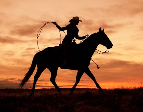Framed Cowgirl Silhouette Print