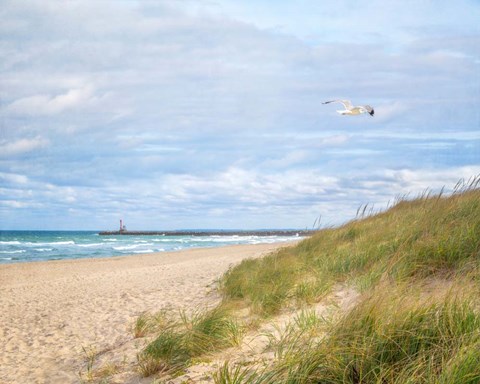 Framed Beach &amp; Jetty Print