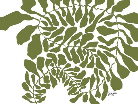 Framed Spiralina Print