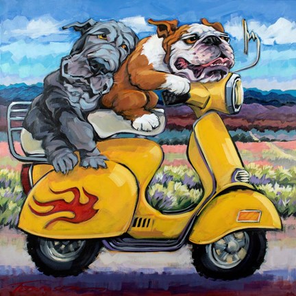 Framed On The Road Again Print