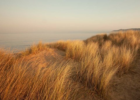 Framed Dunes with Seagulls 7 Print