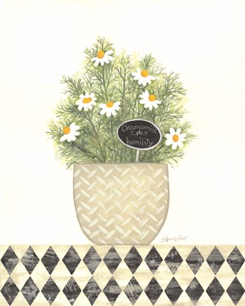 Framed Chamomile Humility Print