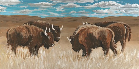 Framed Bison Herd II Print
