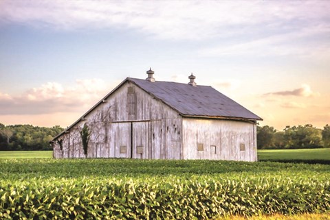 Framed Rural Ohio Barn Print
