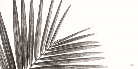 Framed Leaf Study IV Print