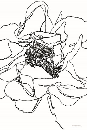 Framed Organic Perfection Print