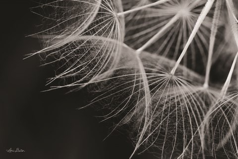 Framed Delicate Beauty Print