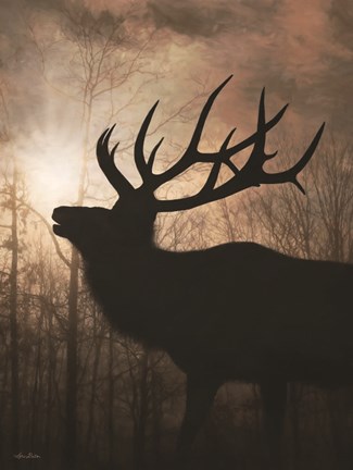 Framed Elk Sunrise II Print
