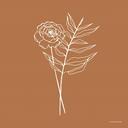 Framed White Floral Line Drawing Print