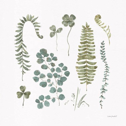 Framed Fern Study 02 Print