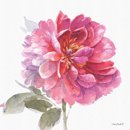 Framed Obviously Pink 02A Print