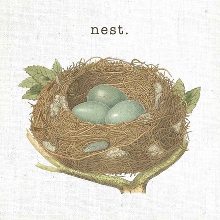 Framed Spring Nest III Nest Print