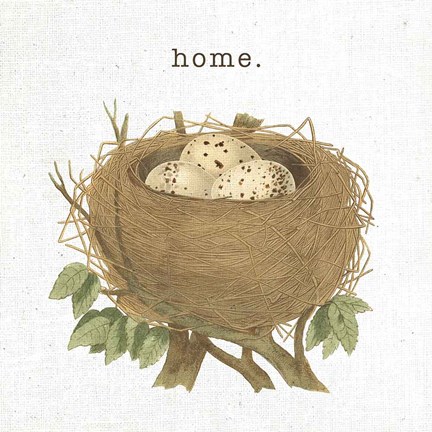 Framed Spring Nest II Home Print