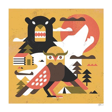 Framed Owl Lake Print