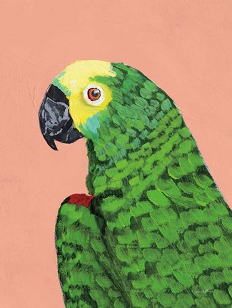 Framed Parrot Head Print