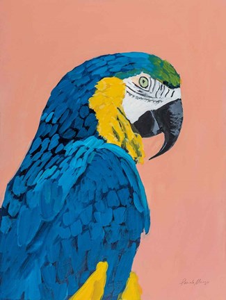 Framed Blue and Gold Macaw Print