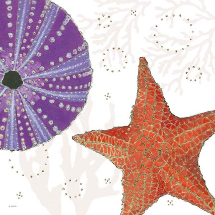 Framed Shimmering Shells III Print