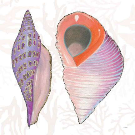 Framed Shimmering Shells X Print