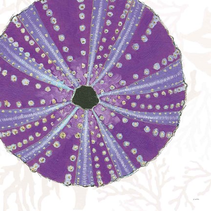 Framed Shimmering Shells XIV Print