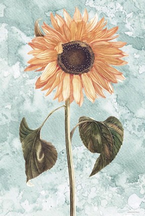 Framed Vintage Sunflower Print