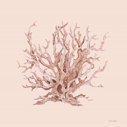 Framed Pink Coral I Print