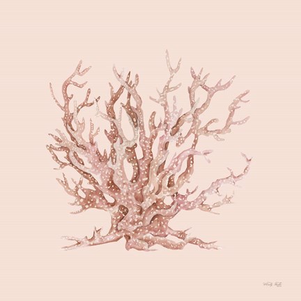 Framed Pink Coral II Print