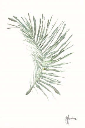 Framed Palm Frond Viridescent Print