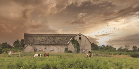 Framed Sunset Grazing Print