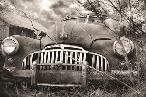 Framed Rustic Charm VII Print