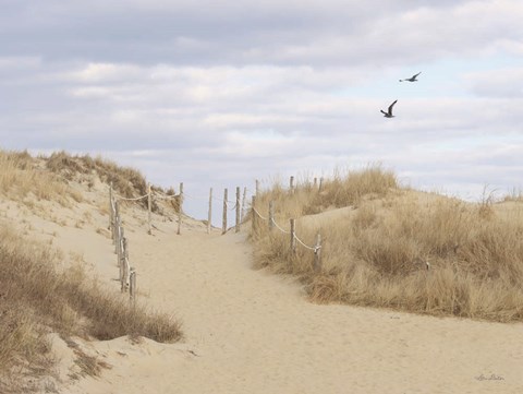 Framed Fenwick Island Print