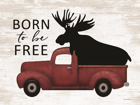 Framed Born to be Free Moose Print