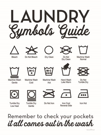 Framed Laundry Symbols Guide Print