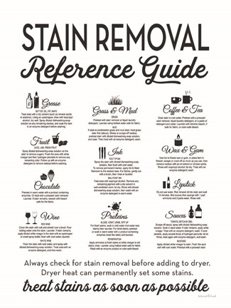 Framed Stain Removal Reference Guide Print