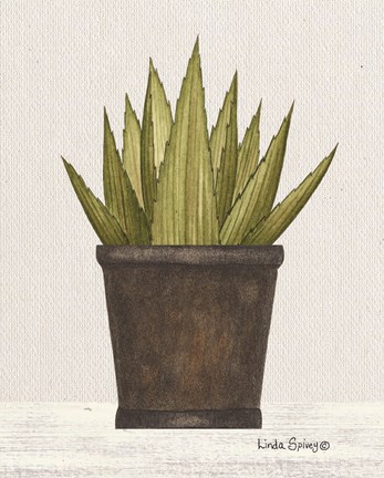 Framed Potted Aloe Vera Print