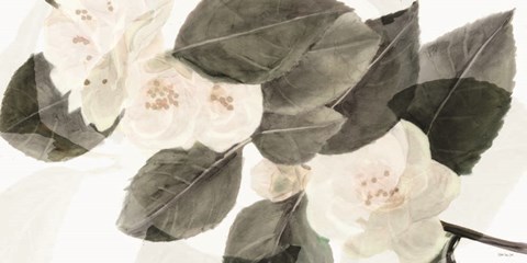 Framed White Beauty Print