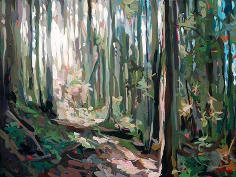 Framed Forest Light Print